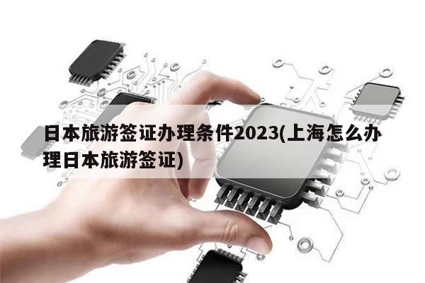 日本旅游签证办理条件2023(上海怎么办理日本旅游签证)